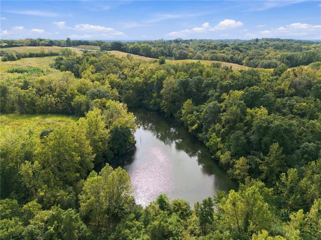 Lot 1 Dowling Lane Property Photo 6