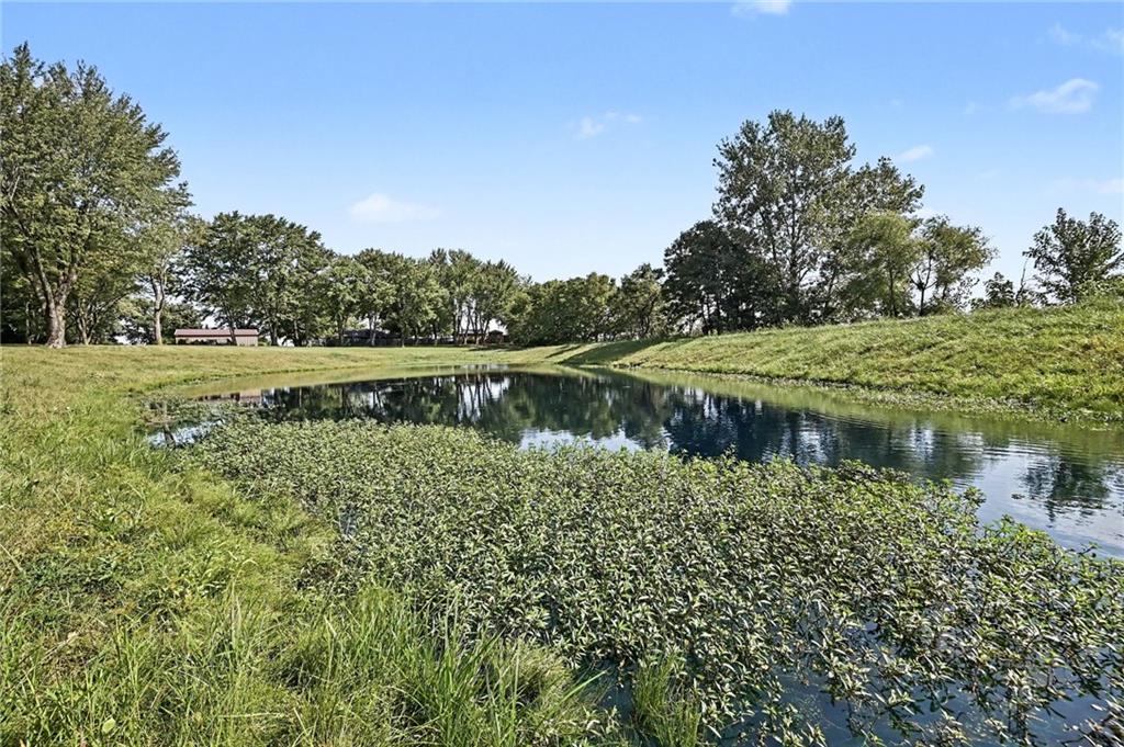 12223 Hills Road Property Photo 43