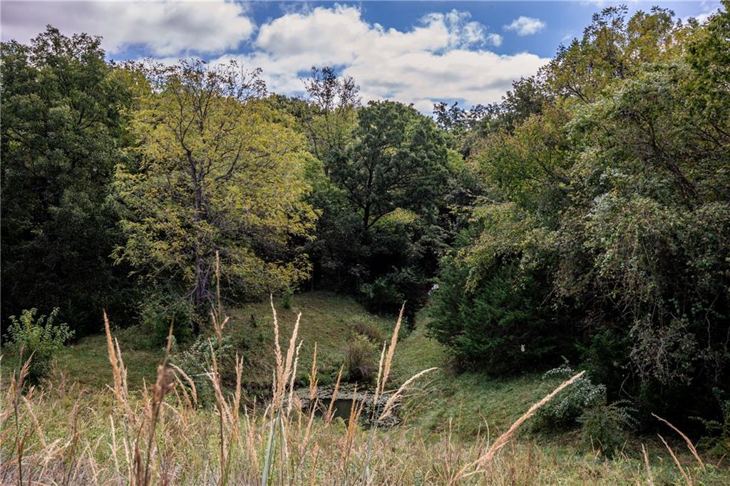 1593 Rock Creek Road Property Photo 68