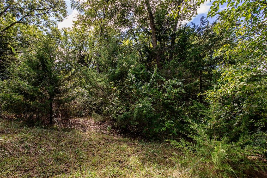 1593 Rock Creek Road Property Photo 90