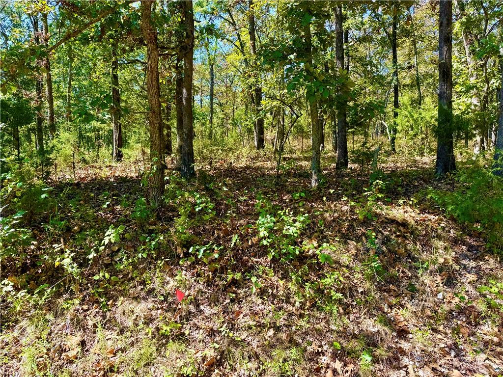 Off Saint Saveur Drive Property Photo 1