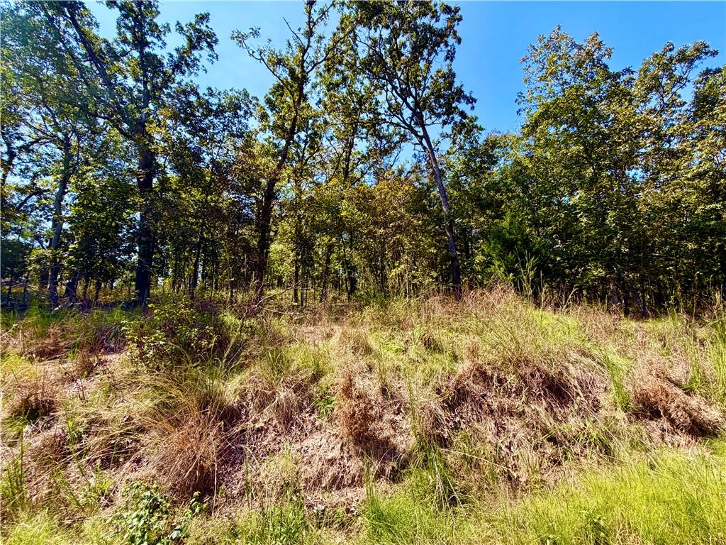 Off Saint Saveur Drive Property Photo 3