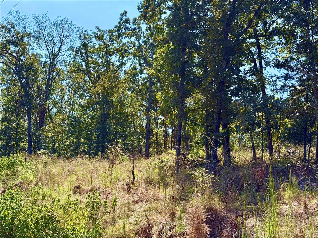 Off Saint Saveur Drive Property Photo 4