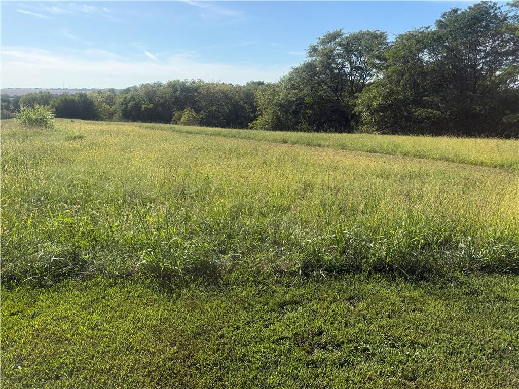 30607 Kite Road Property Photo 5