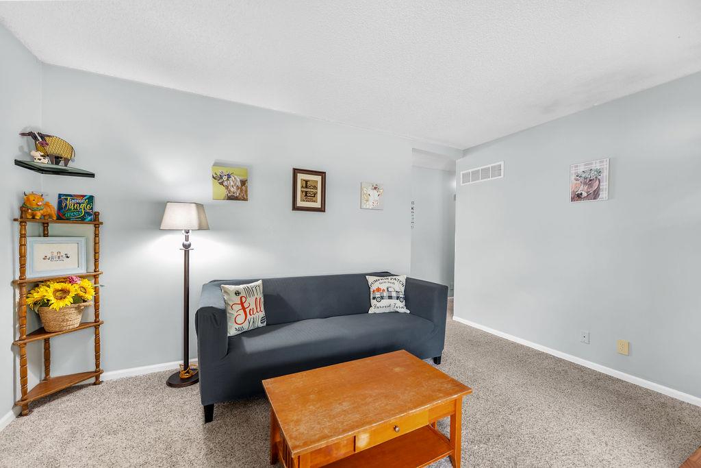 1336 Tall Grass Drive Property Photo 6