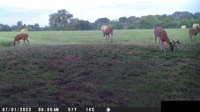 22010 S Excelsior Road Property Photo 62