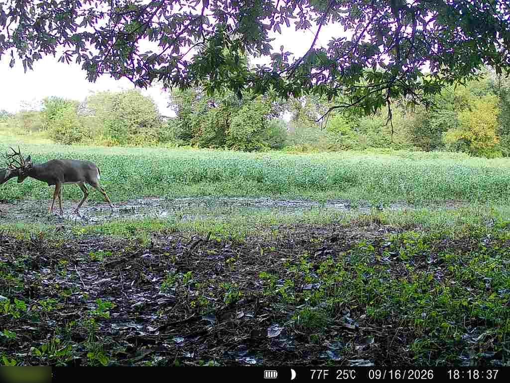 E 330th Street Property Photo 5