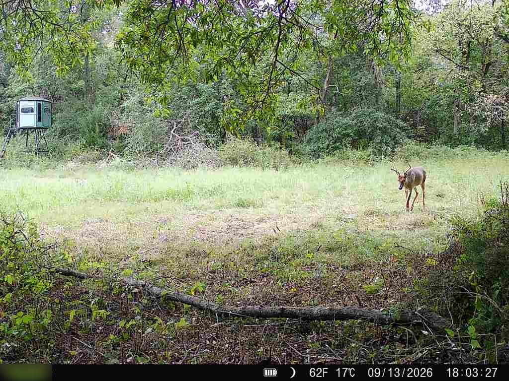 E 330th Street Property Photo 6