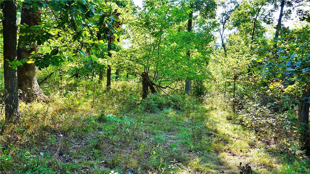 E 330th Street Property Photo 33