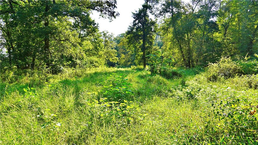 E 330th Street Property Photo 35