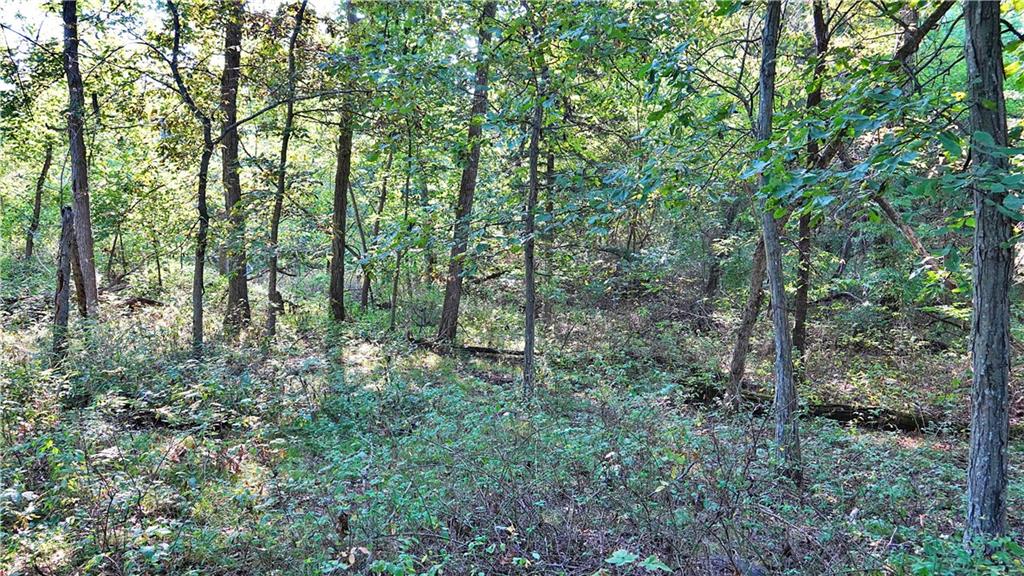 E 330th Street Property Photo 44