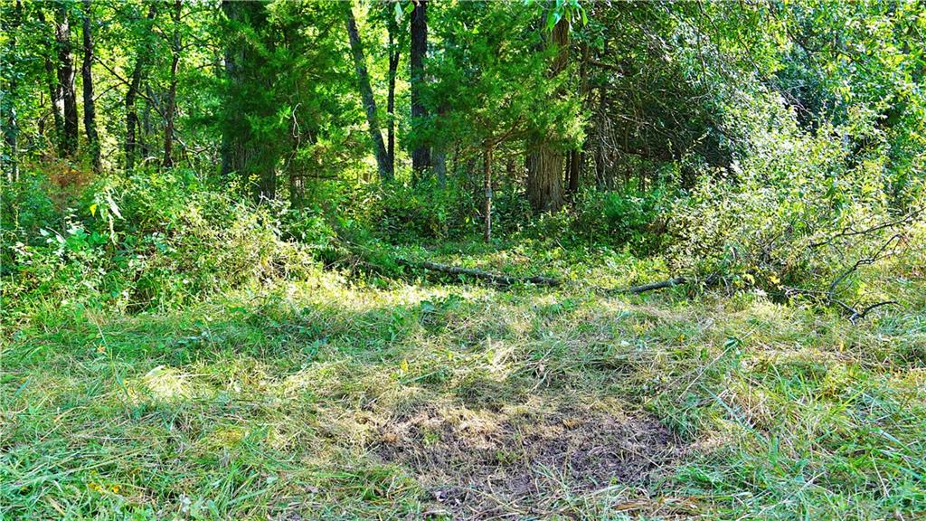 E 330th Street Property Photo 53
