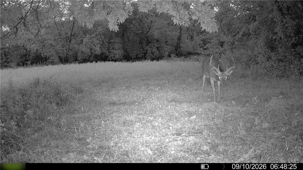 E 330th Street Property Photo 59
