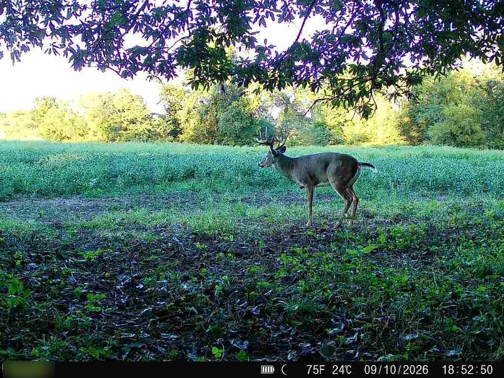 E 330th Street Property Photo 62