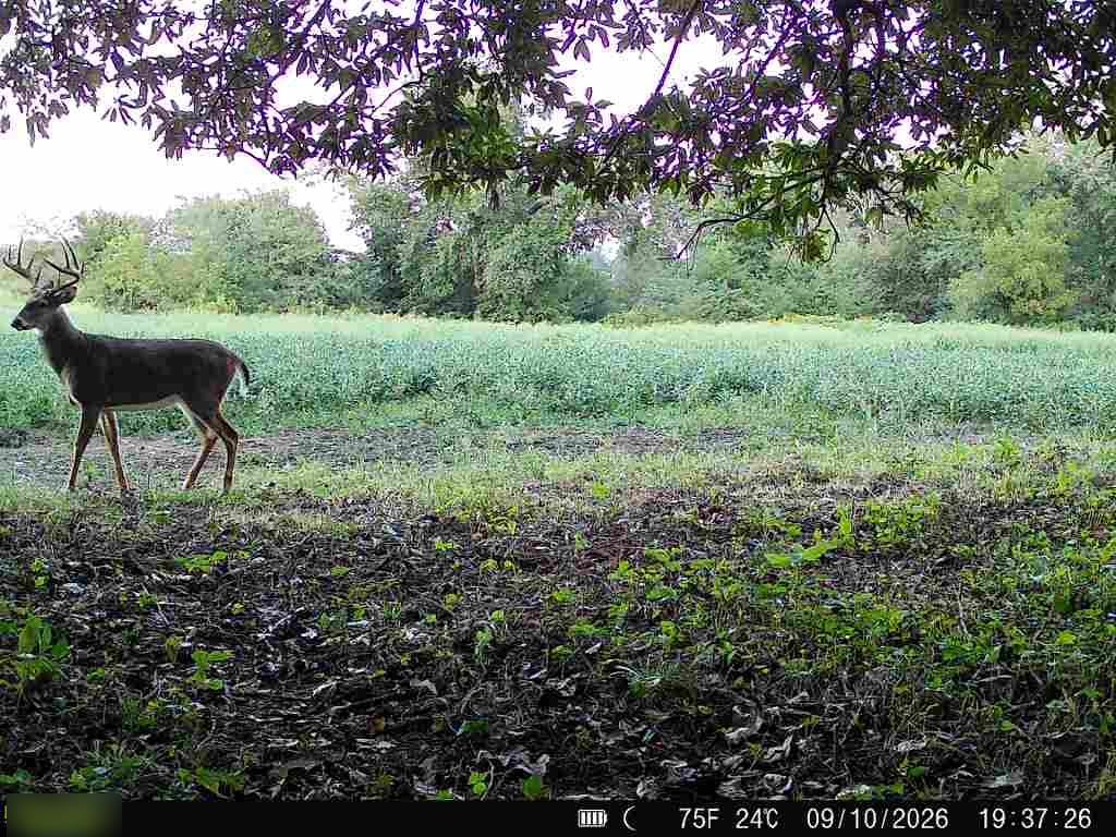 E 330th Street Property Photo 65