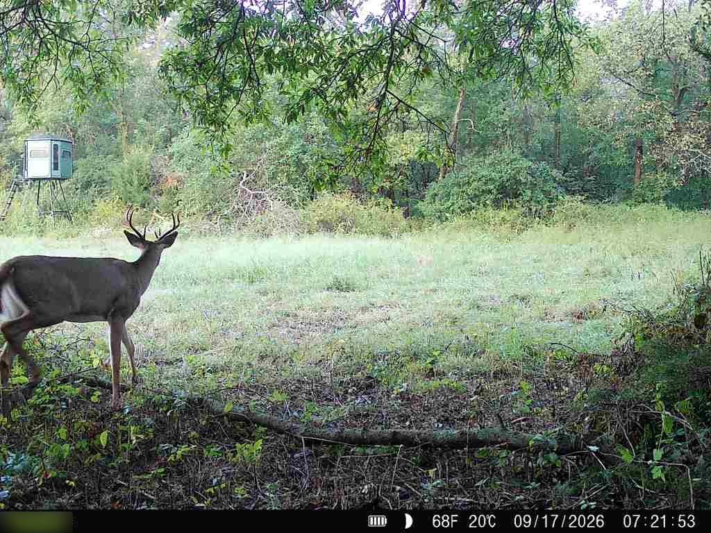 E 330th Street Property Photo 67