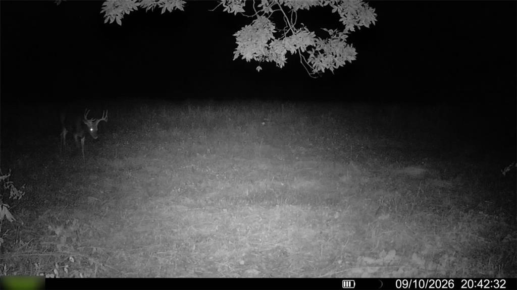 E 330th Street Property Photo 82