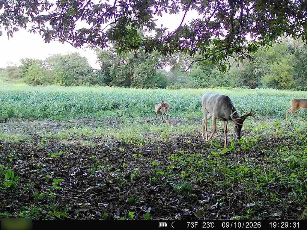 E 330th Street Property Photo 83