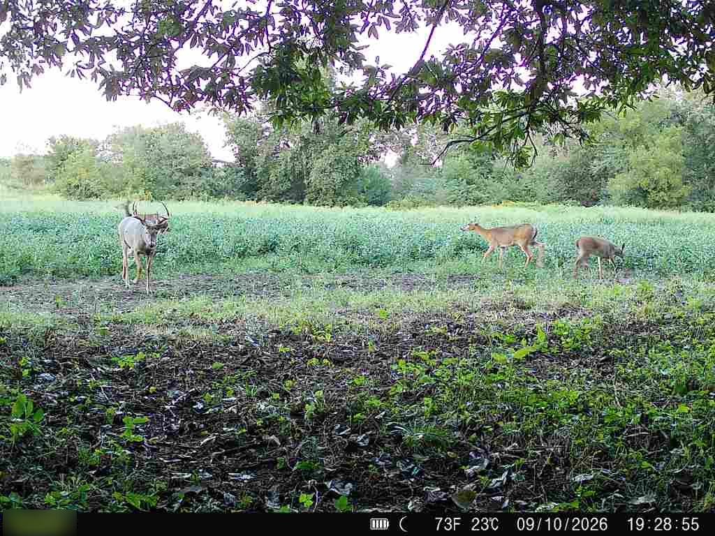E 330th Street Property Photo 84