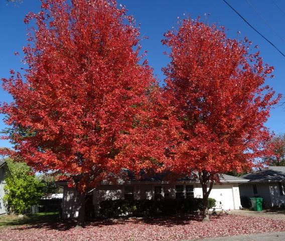 502 E Atkison Avenue Property Photo 3