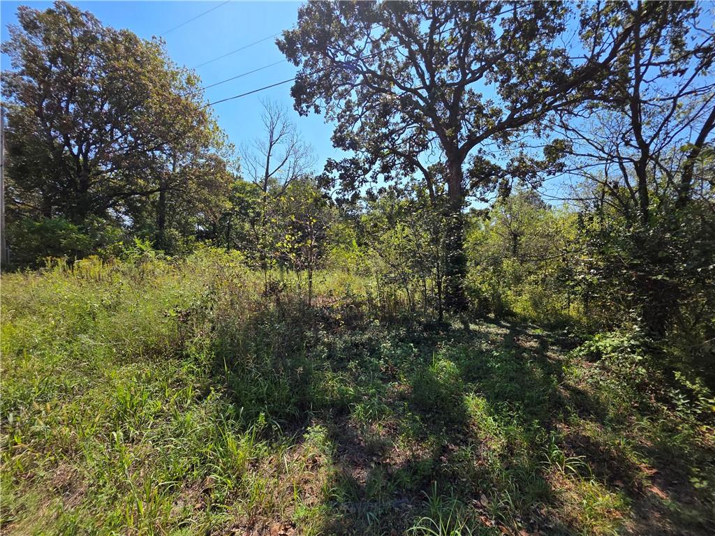 000 E Abbott Road Property Photo 4