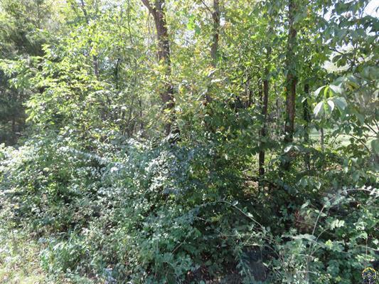 0000 W Crescent Rim Drive Property Photo 1