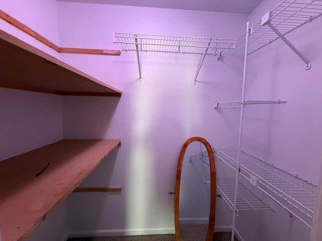 1712 Winding Creek Lane Property Photo 19