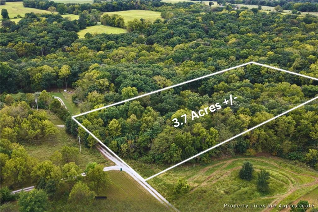 Berry Park Road Property Photo 3