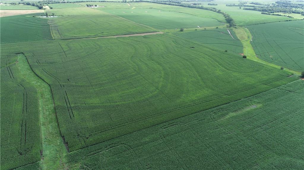 Tract 2 Mooney Creek Road Property Photo 8