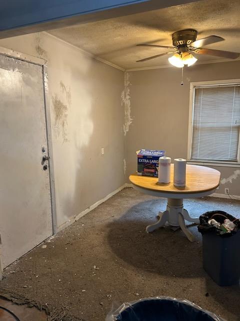 9609 Main Street Property Photo 14