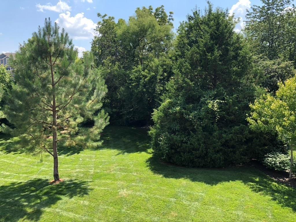 703 Willow Drive Property Photo 36