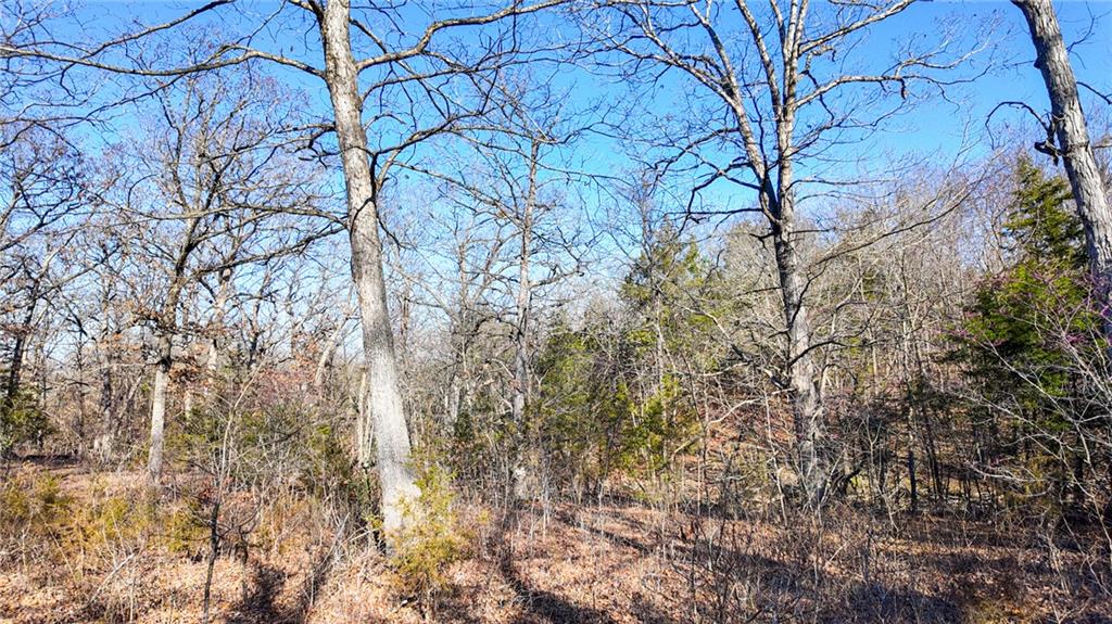 20908 County Road 283 N/a Property Photo 25