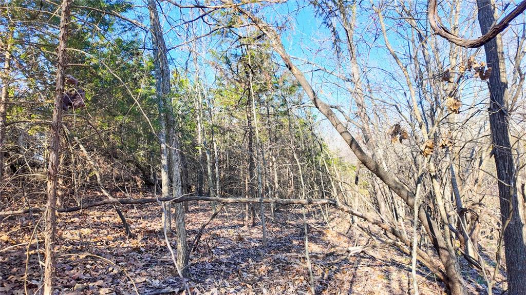 20908 County Road 283 N/a Property Photo 27