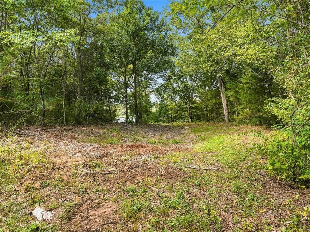 Timberlake Drive Property Photo 2