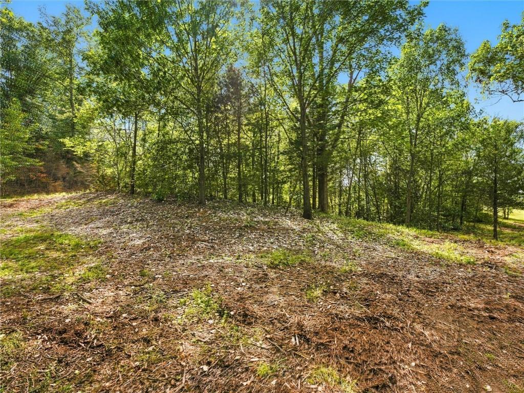 Timberlake Drive Property Photo 3