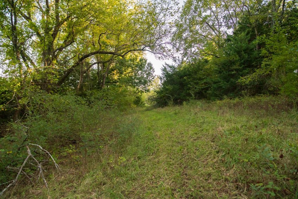 2347 Oregon Terrace Property Photo 34