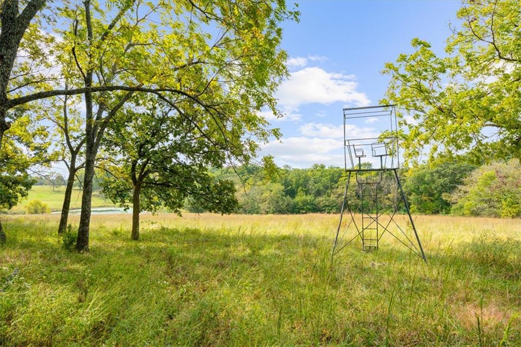 1933 Nw 550th Road Property Photo 41