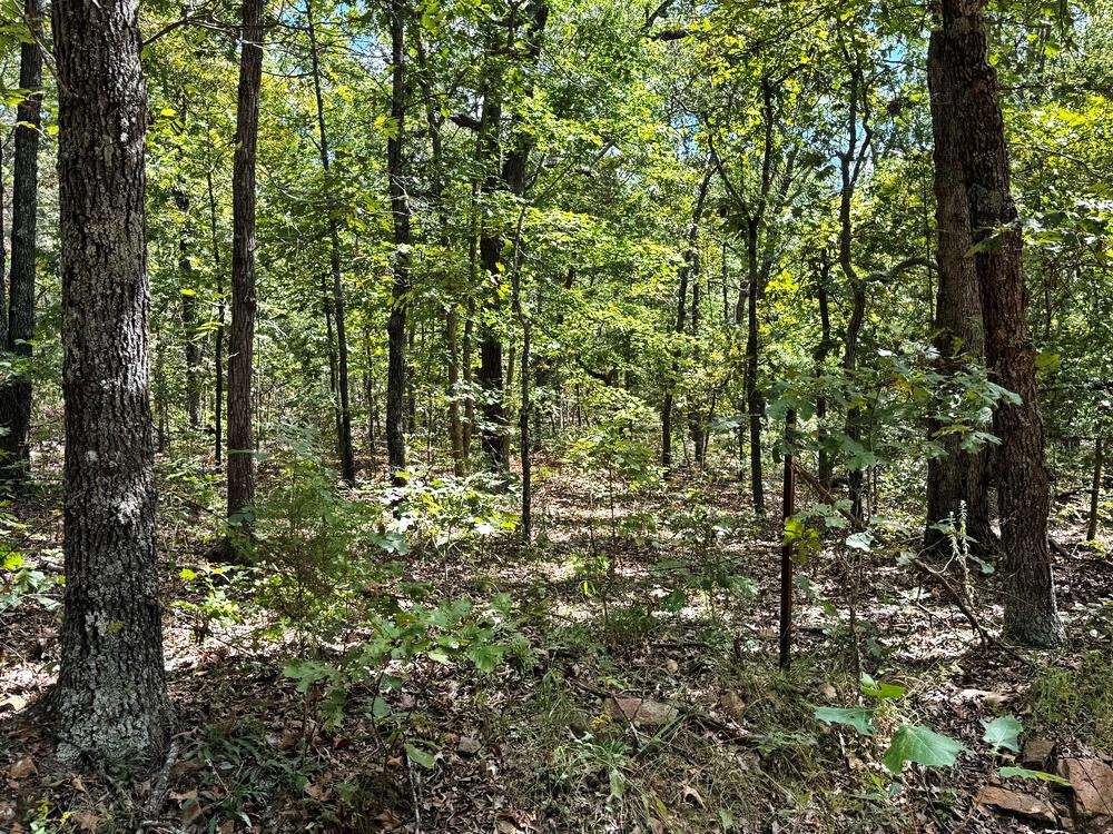 000 1200 Road Property Photo 11