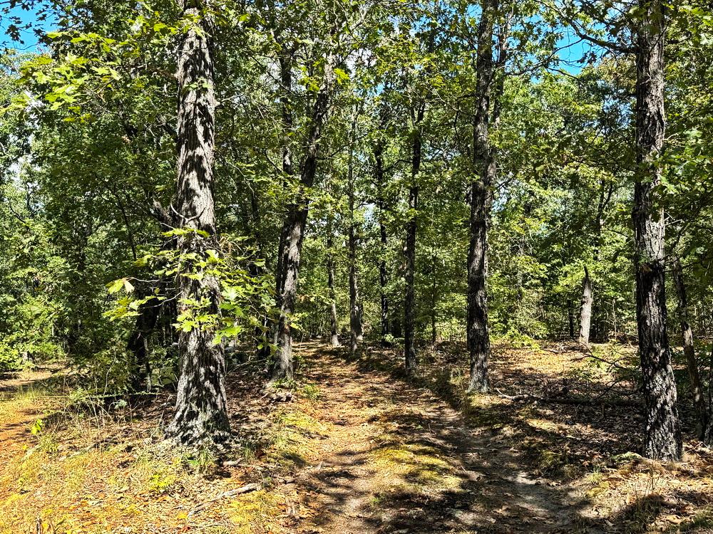 000 1200 Road Property Photo 18