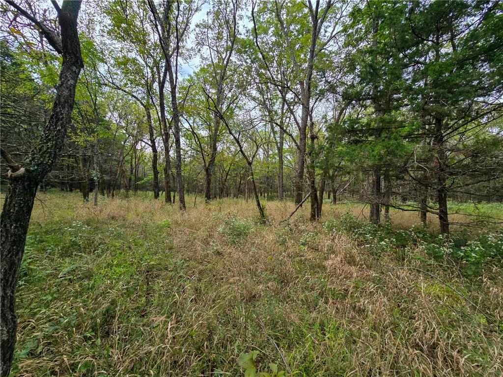 22102 75 Highway Property Photo 3