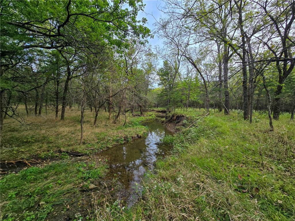 22102 75 Highway Property Photo 4