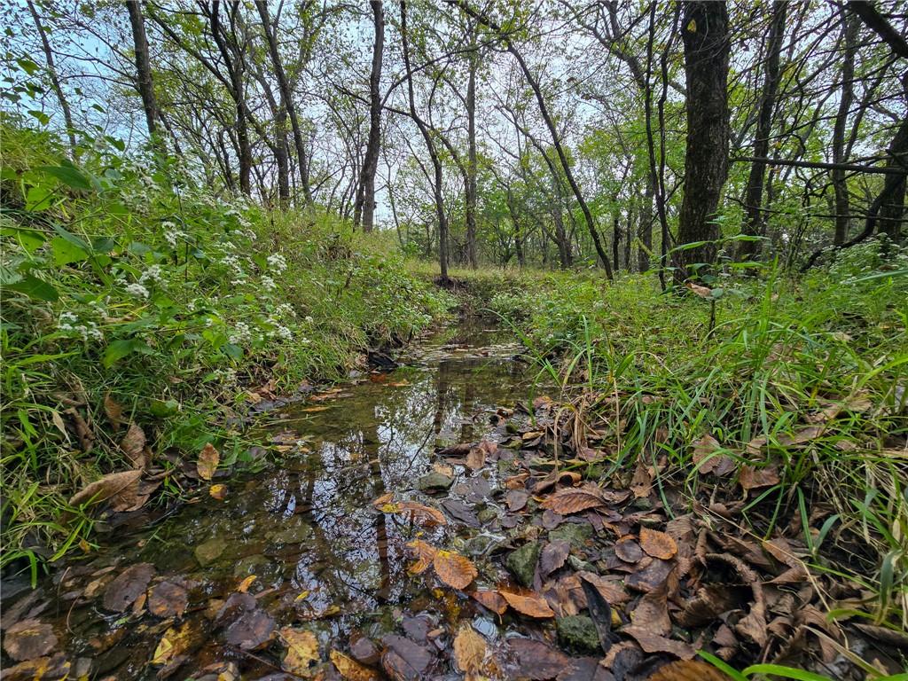 22102 75 Highway Property Photo 6