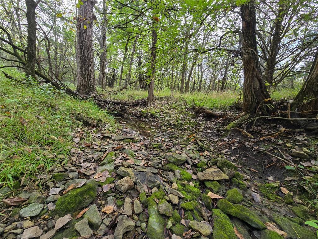 22102 75 Highway Property Photo 7