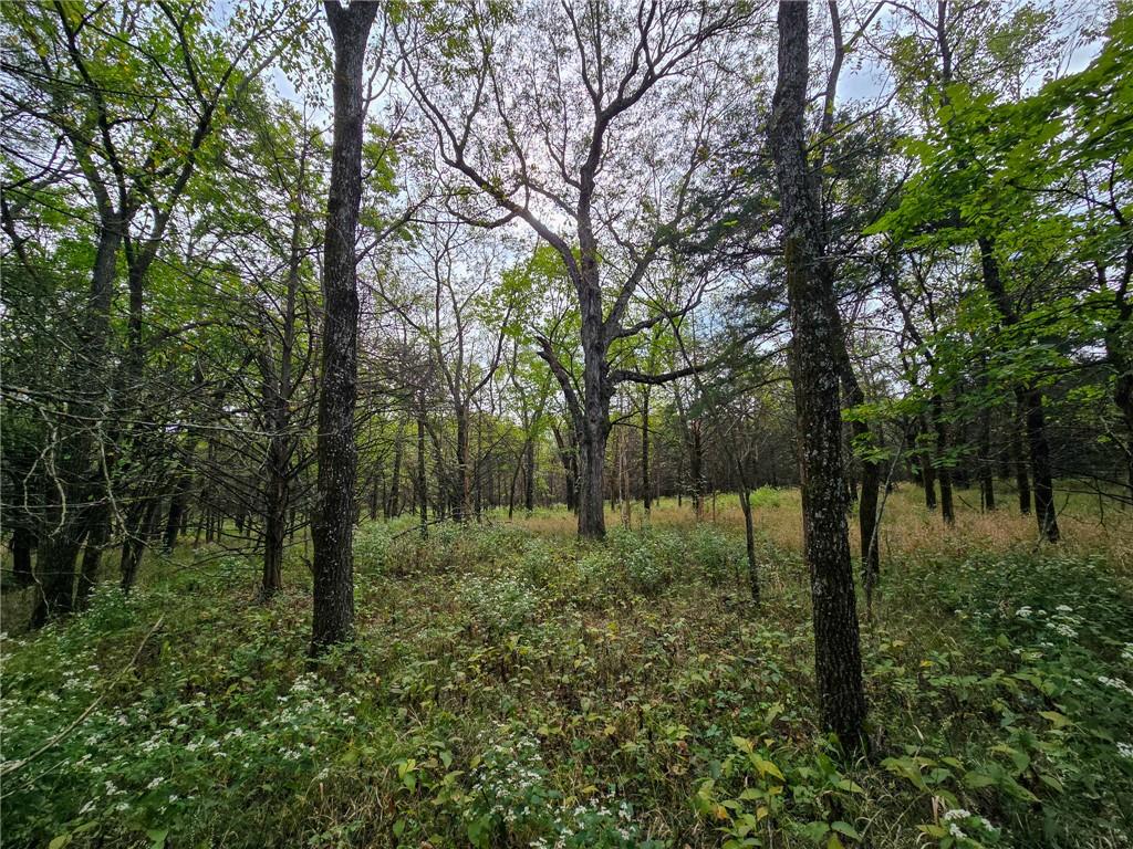 22102 75 Highway Property Photo 8