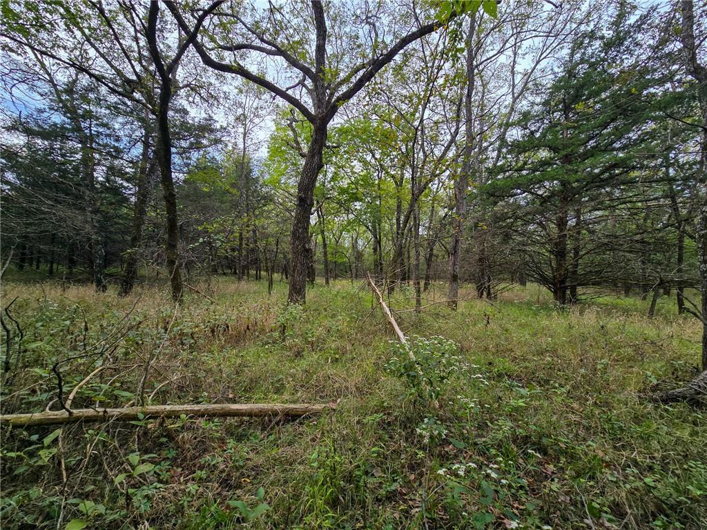22102 75 Highway Property Photo 9