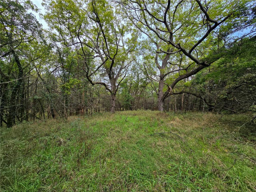 22102 75 Highway Property Photo 10