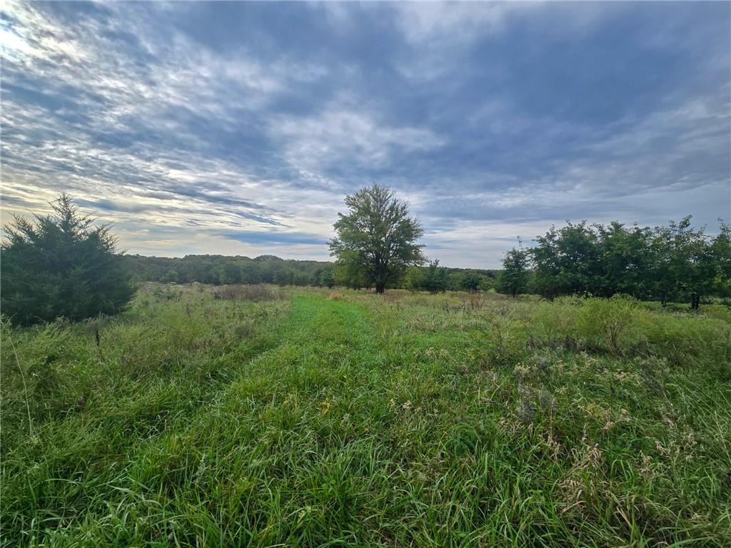22102 75 Highway Property Photo 12