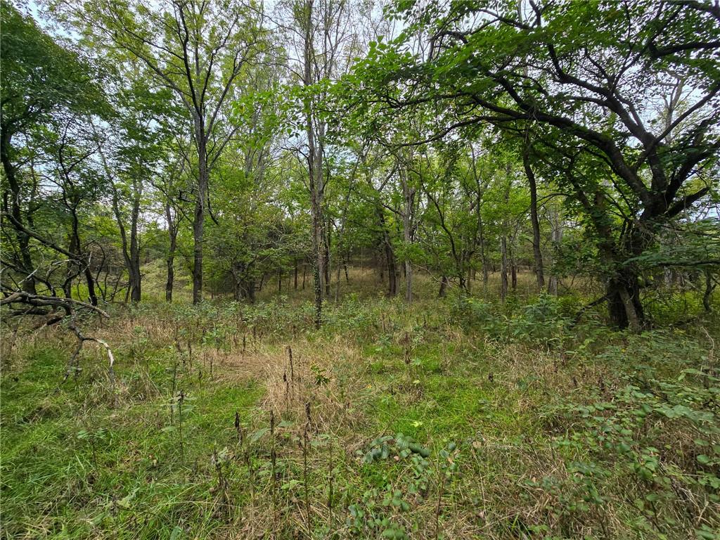 22102 75 Highway Property Photo 23