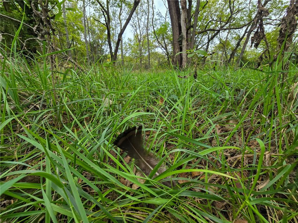 22102 75 Highway Property Photo 24
