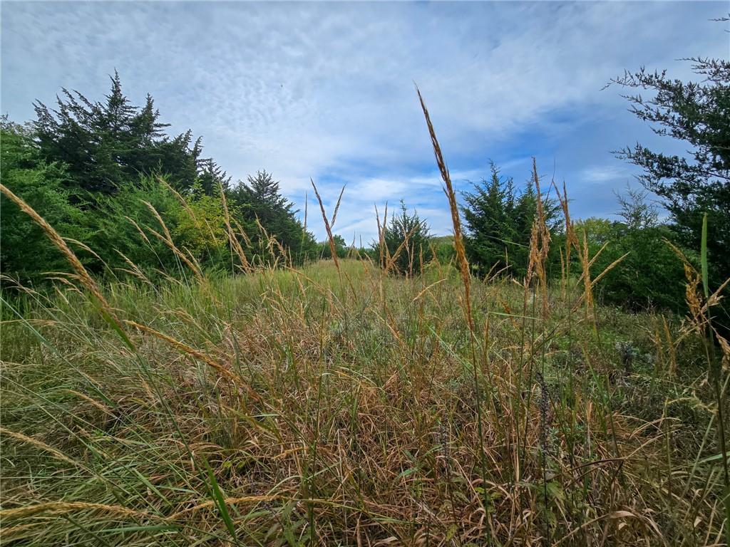 22102 75 Highway Property Photo 25